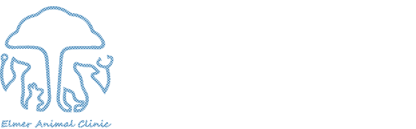 エルマー動物病院